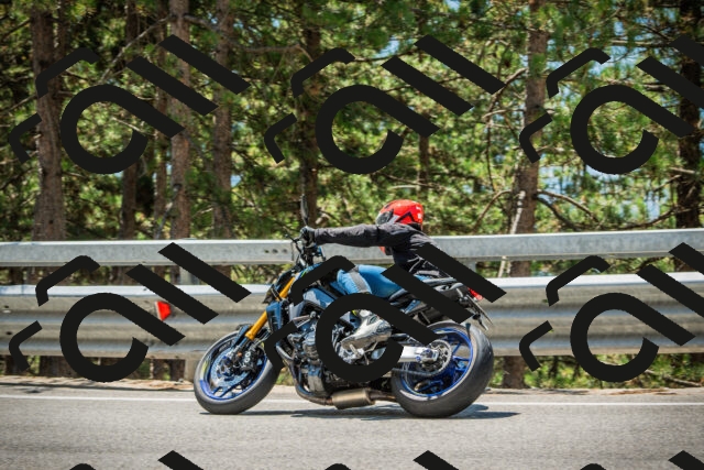 202508091234-DSC04761_c1_