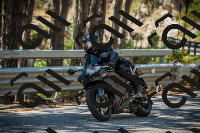 202508091234-DSC04763_c1_