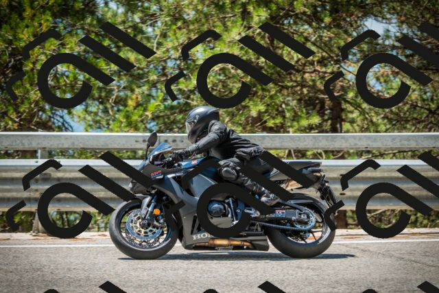 202508091234-DSC04764_c1_