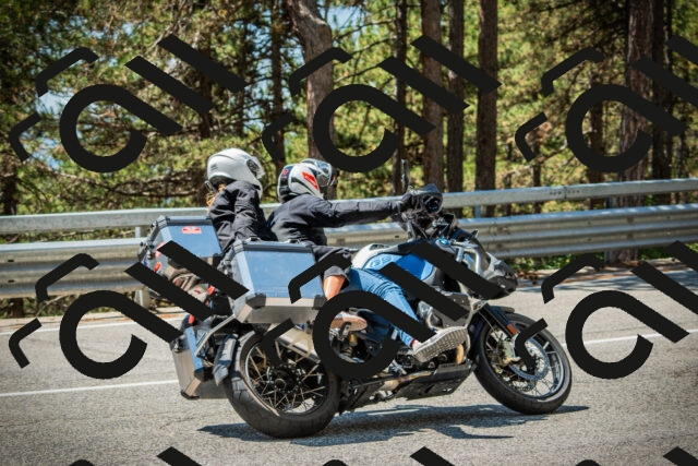 202508091235-DSC04776_c1_