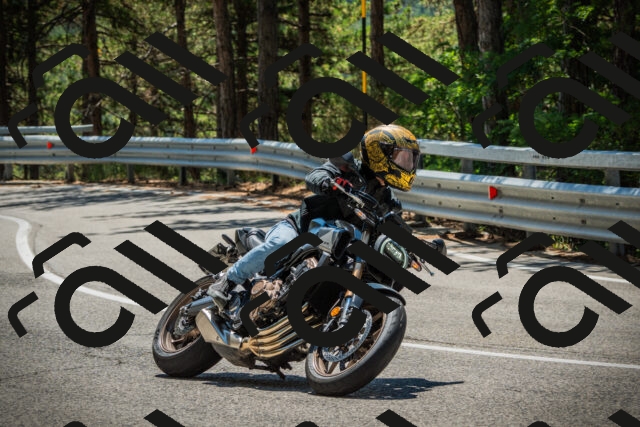 202508091235-DSC04777_c1_