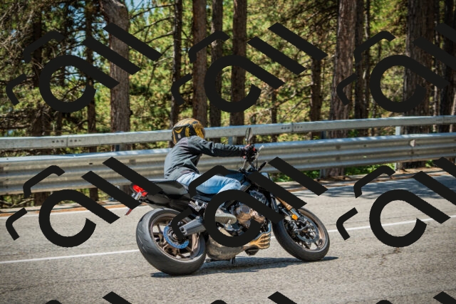 202508091235-DSC04779_c1_