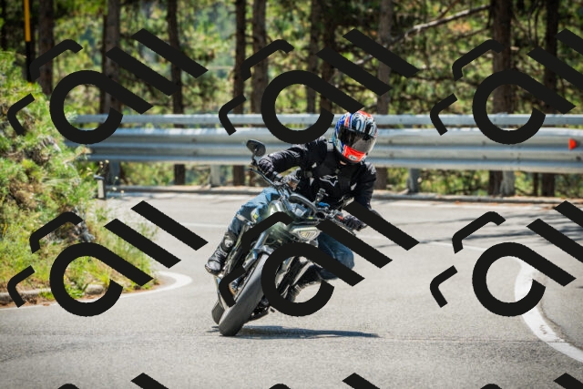 202508091235-DSC04782_c1_