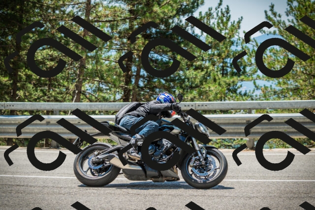 202508091235-DSC04784_c1_