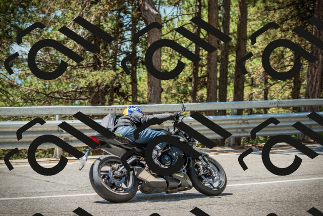 202508091235-DSC04785_c1_