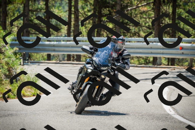 202508091236-DSC04788_c1_