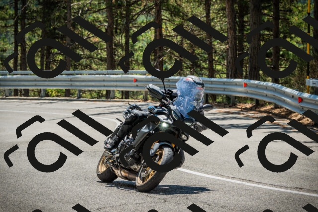 202508091236-DSC04789_c1_