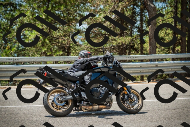 202508091236-DSC04791_c1_