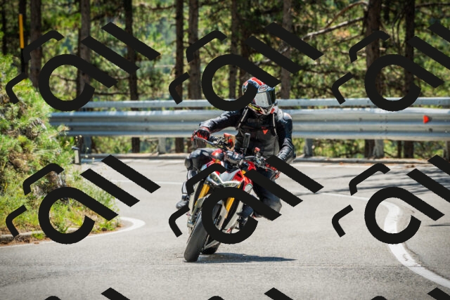 202508091236-DSC04795_c1_