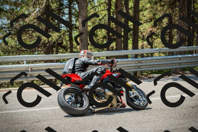 202508091236-DSC04798_c1_