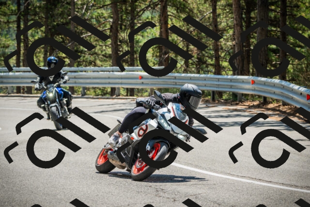 202508091238-DSC04825_c1_