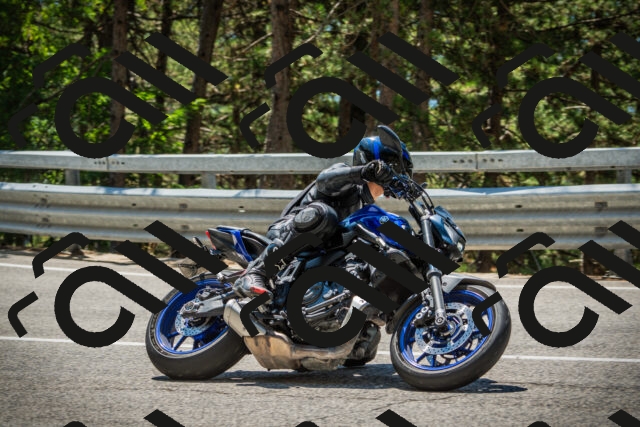 202508091238-DSC04827_c1_