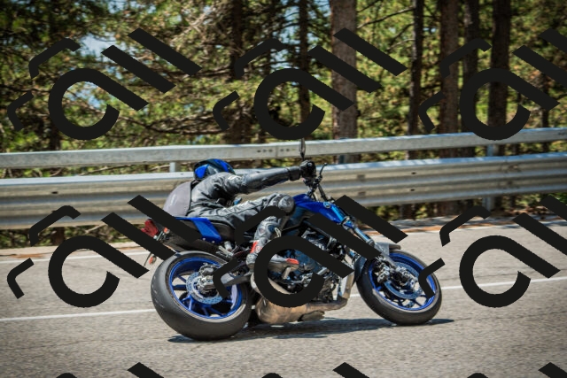 202508091238-DSC04828_c1_