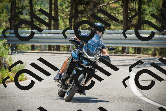 202508091239-DSC04834_c1_