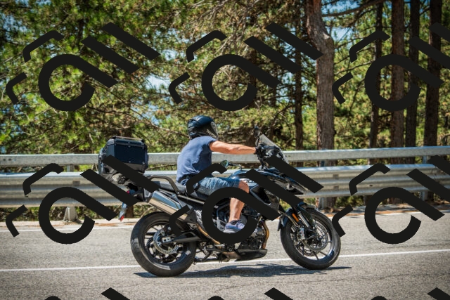 202508091239-DSC04837_c1_