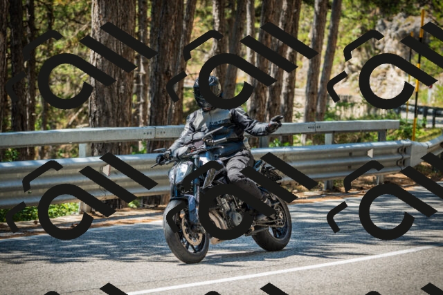 202508091241-DSC04839_c1_