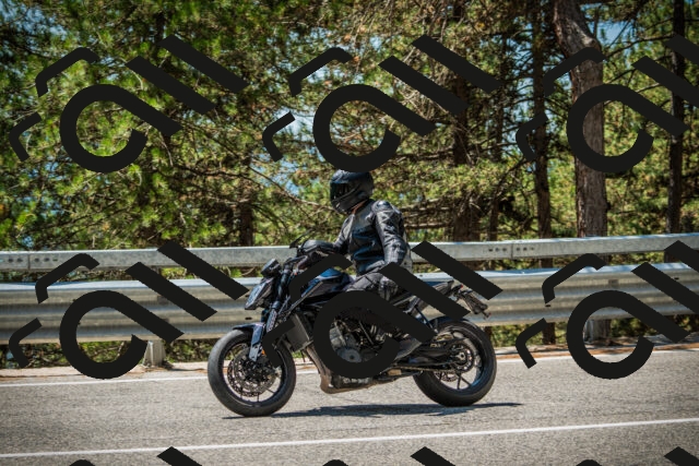 202508091241-DSC04840_c1_