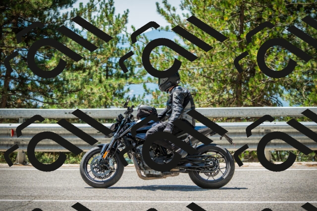 202508091241-DSC04841_c1_