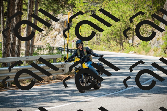 202508091241-DSC04842_c1_