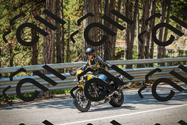 202508091241-DSC04843_c1_