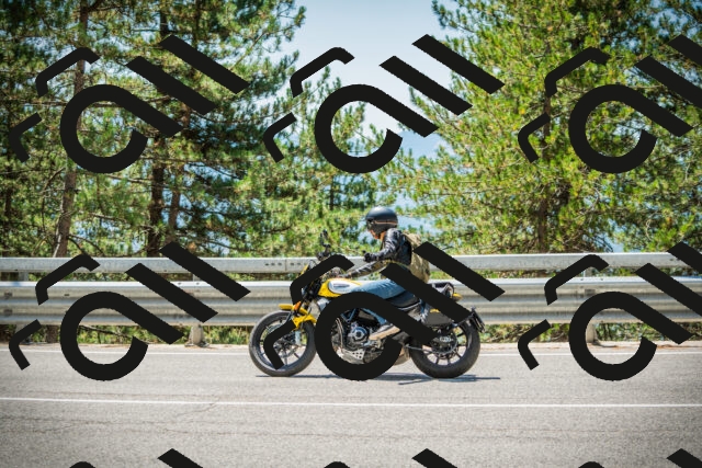 202508091241-DSC04845_c1_