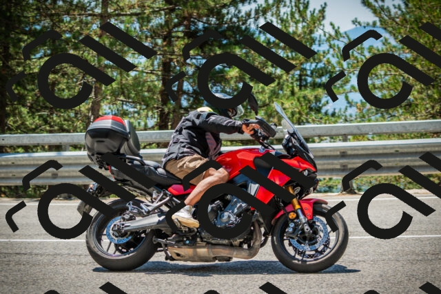 202508091241-DSC04849_c1_