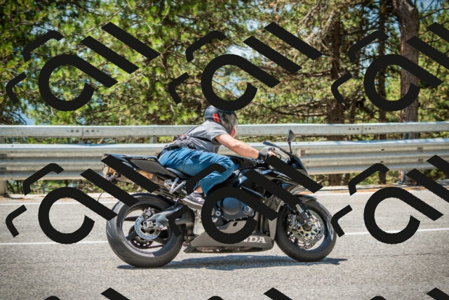 202508091241-DSC04852_c1_