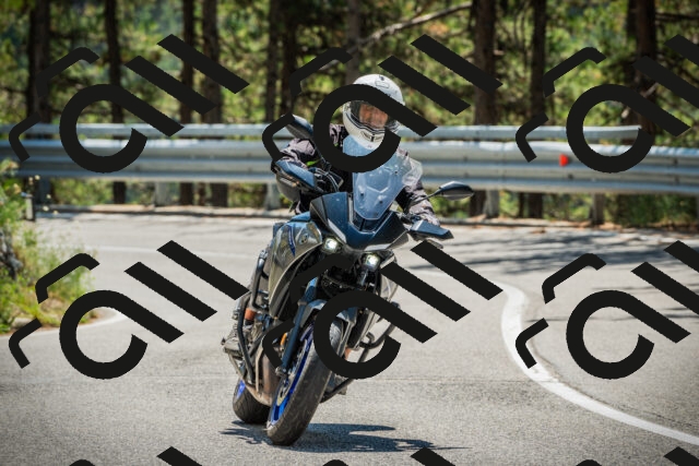 202508091242-DSC04855_c1_