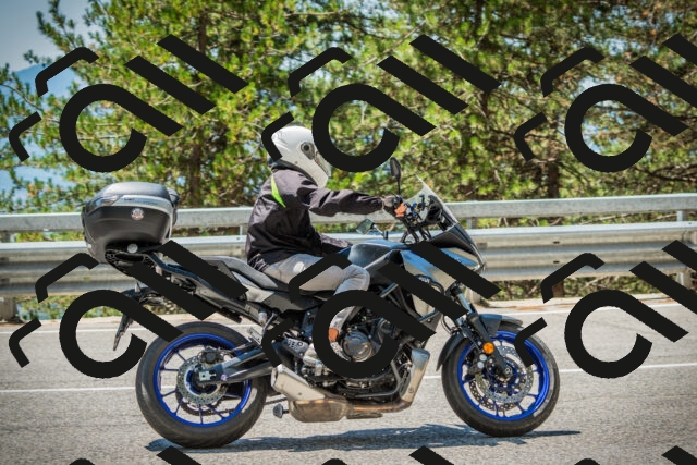 202508091242-DSC04858_c1_