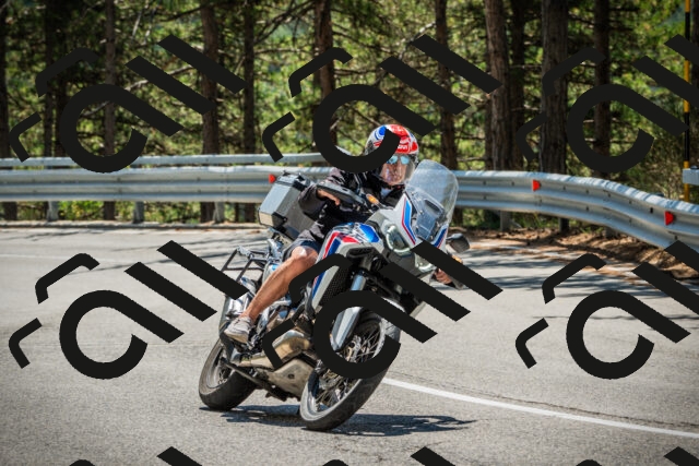 202508091242-DSC04866_c1_