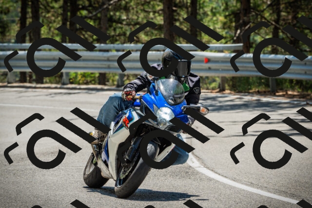 202508091244-DSC04876_c1_