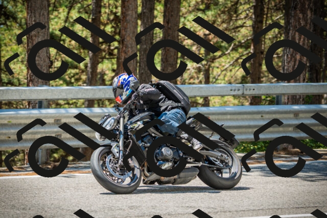 202508091247-DSC04881_c1_