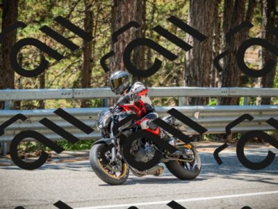 202508091247-DSC04888_c1_