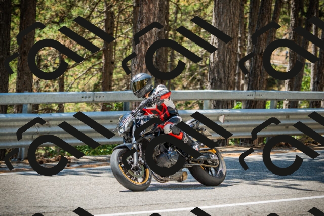 202508091247-DSC04888_c1_