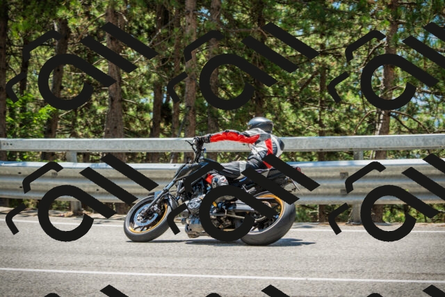 202508091247-DSC04890_c1_