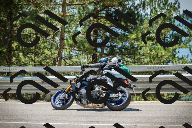 202508091247-DSC04892_c1_