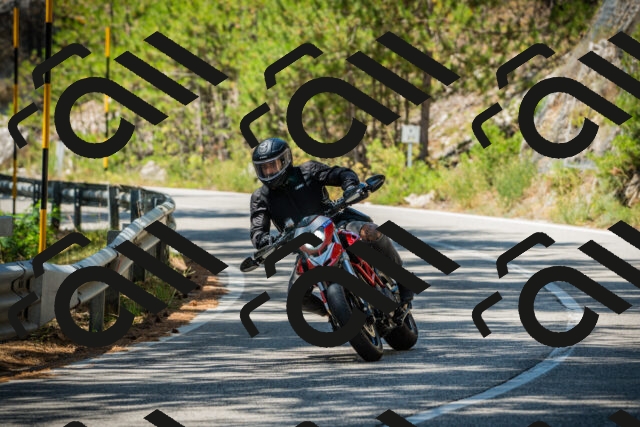 202508091248-DSC04895_c1_