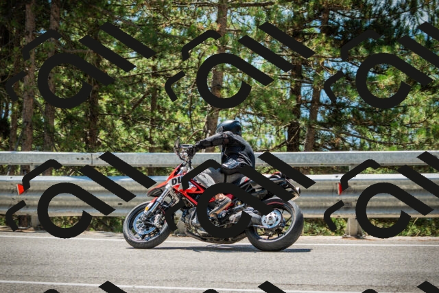 202508091248-DSC04898_c1_