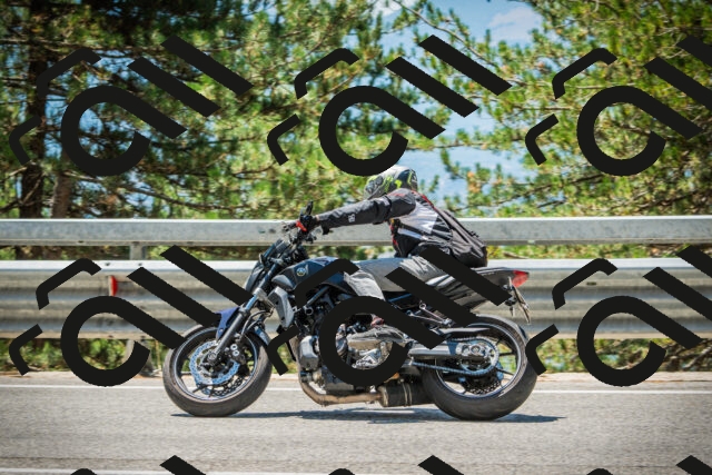 202508091248-DSC04906_c1_