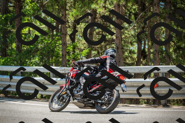 202508091248-DSC04908_c1_