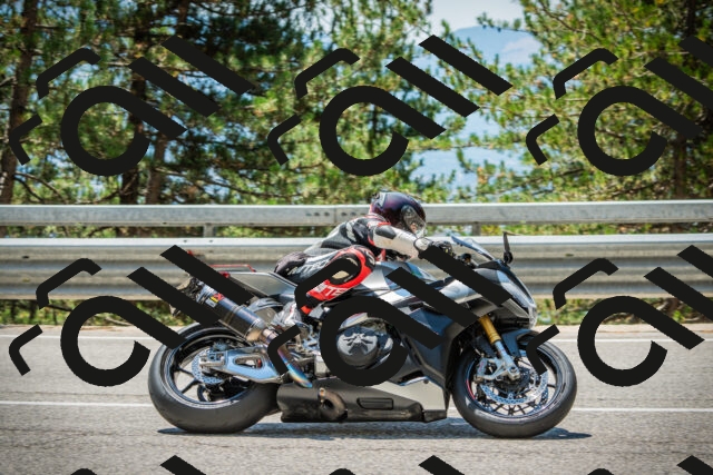 202508091248-DSC04909_c1_