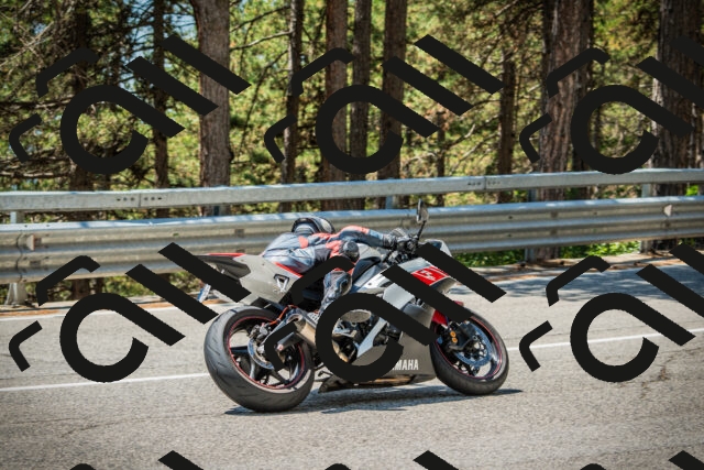 202508091248-DSC04914_c1_