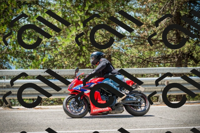 202508091248-DSC04919_c1_