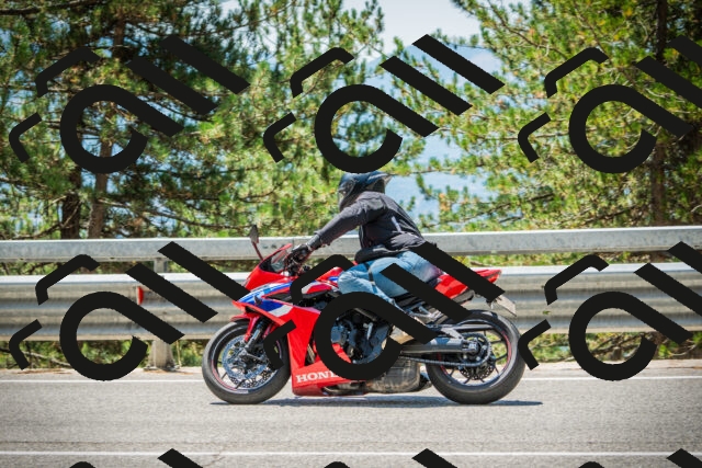 202508091248-DSC04920_c1_