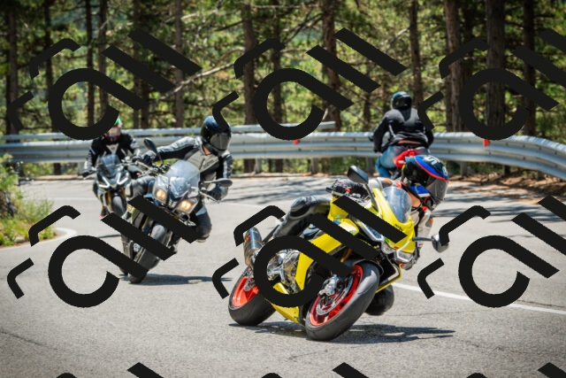 202508091248-DSC04922_c1_