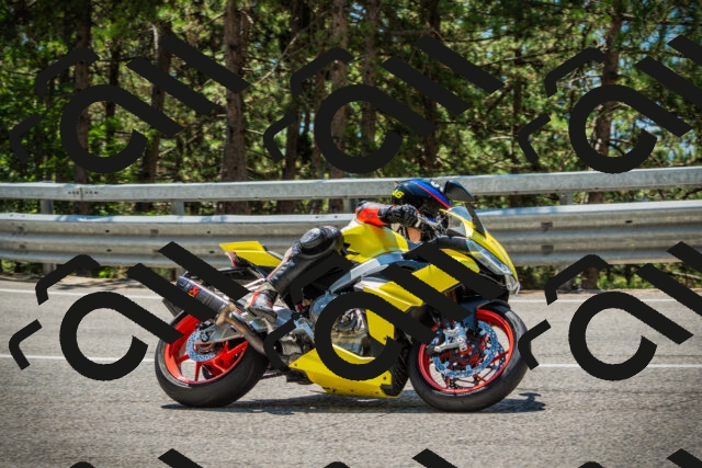 202508091248-DSC04923_c1_