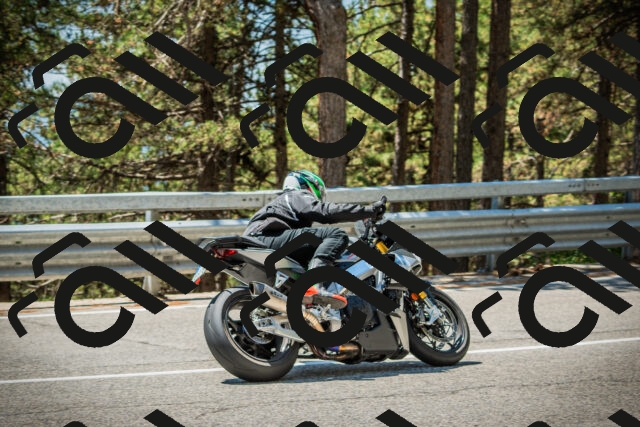 202508091248-DSC04926_c1_