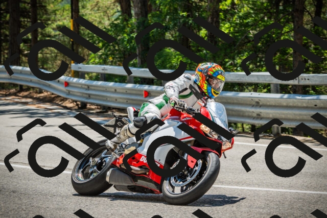 202508091248-DSC04928_c1_