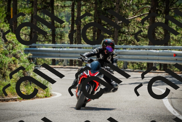 202508091248-DSC04931_c1_