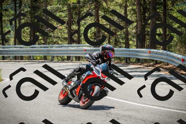 202508091248-DSC04932_c1_